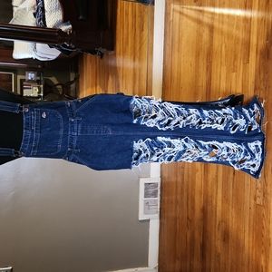 Beautiful overall shredded dress.